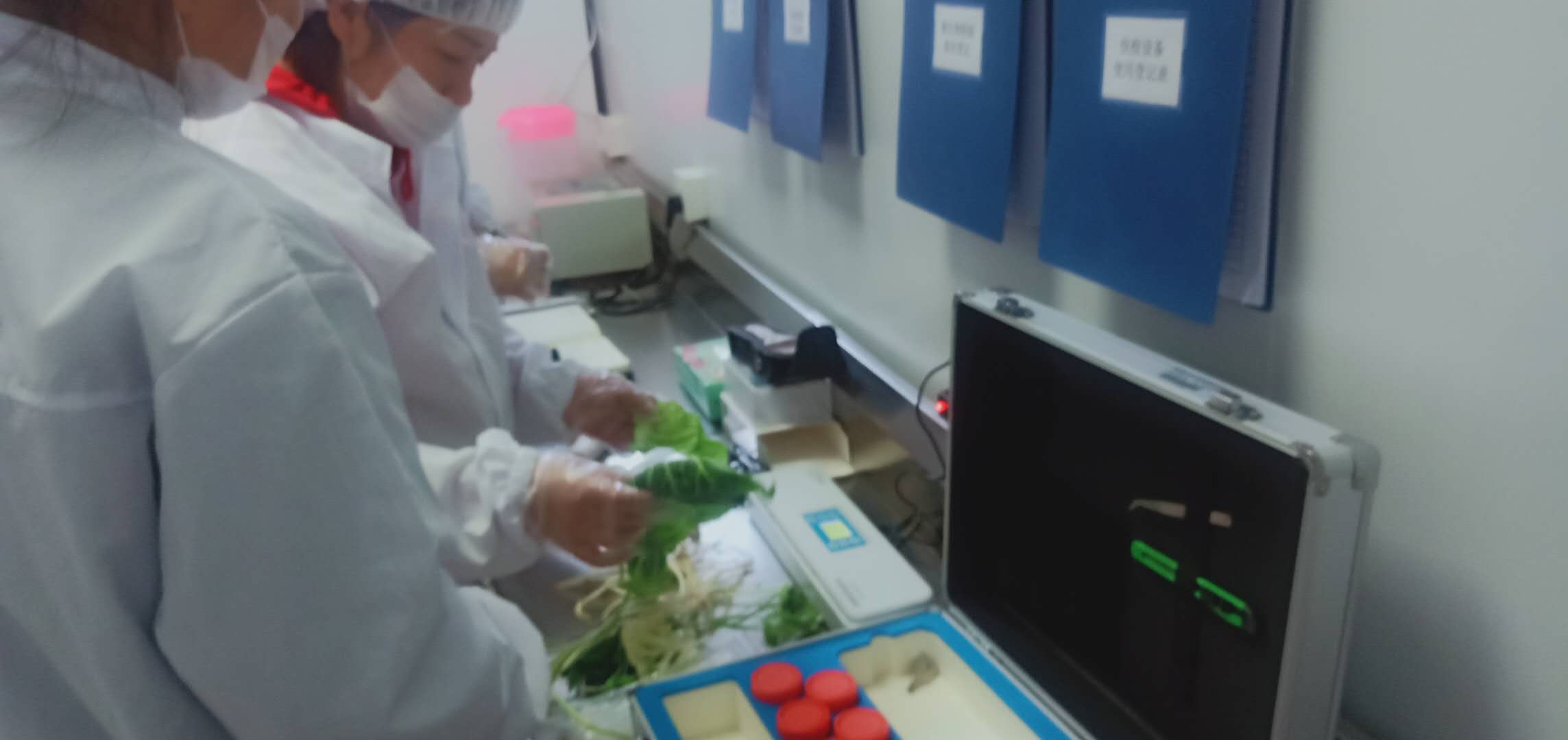 食品檢測(cè)分析 (12)